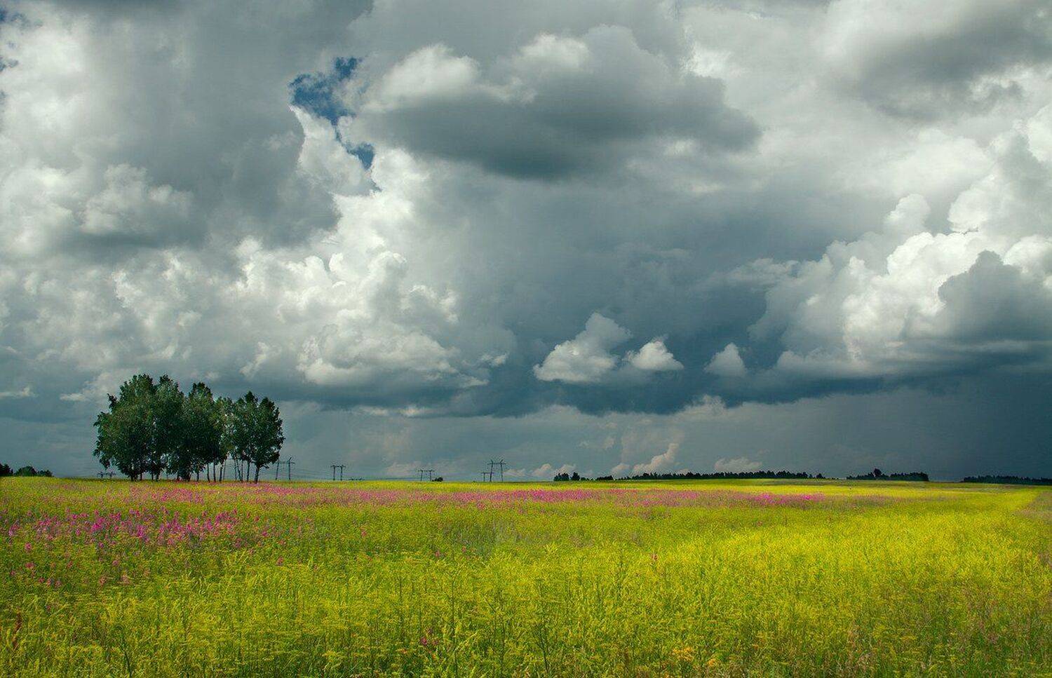 , Николай Морский