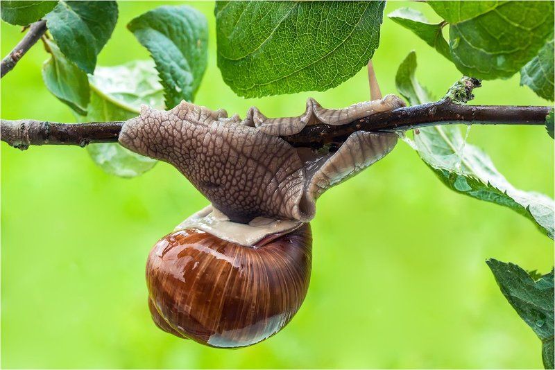 Акробатический этюд фото превью