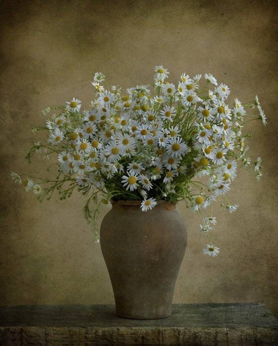 , Петрова Татьяна