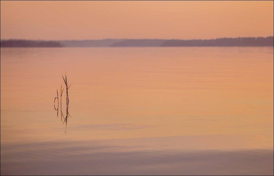, Бурлов Андрей