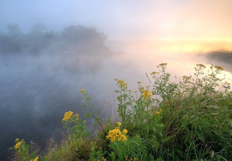 Прохлада и Тепло Июльского утра фото превью