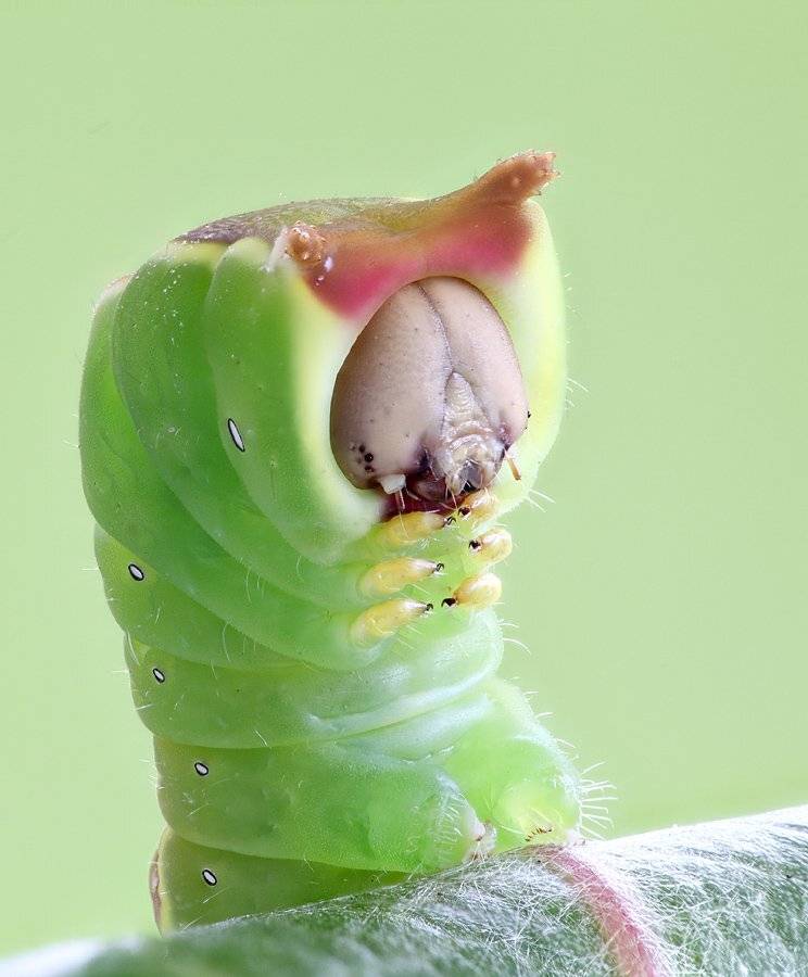 , Сергей Таланов