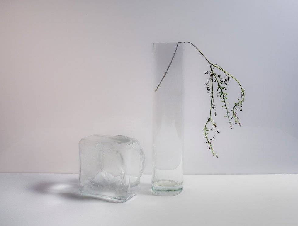 , Людмила Прокофьева