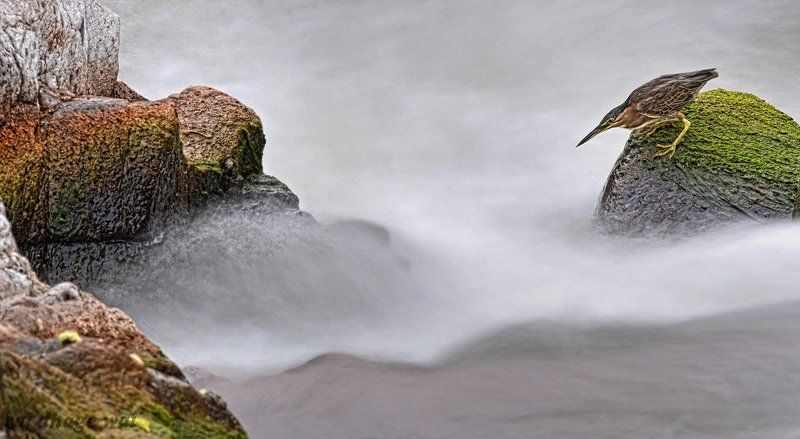 slow sutter speed фото превью