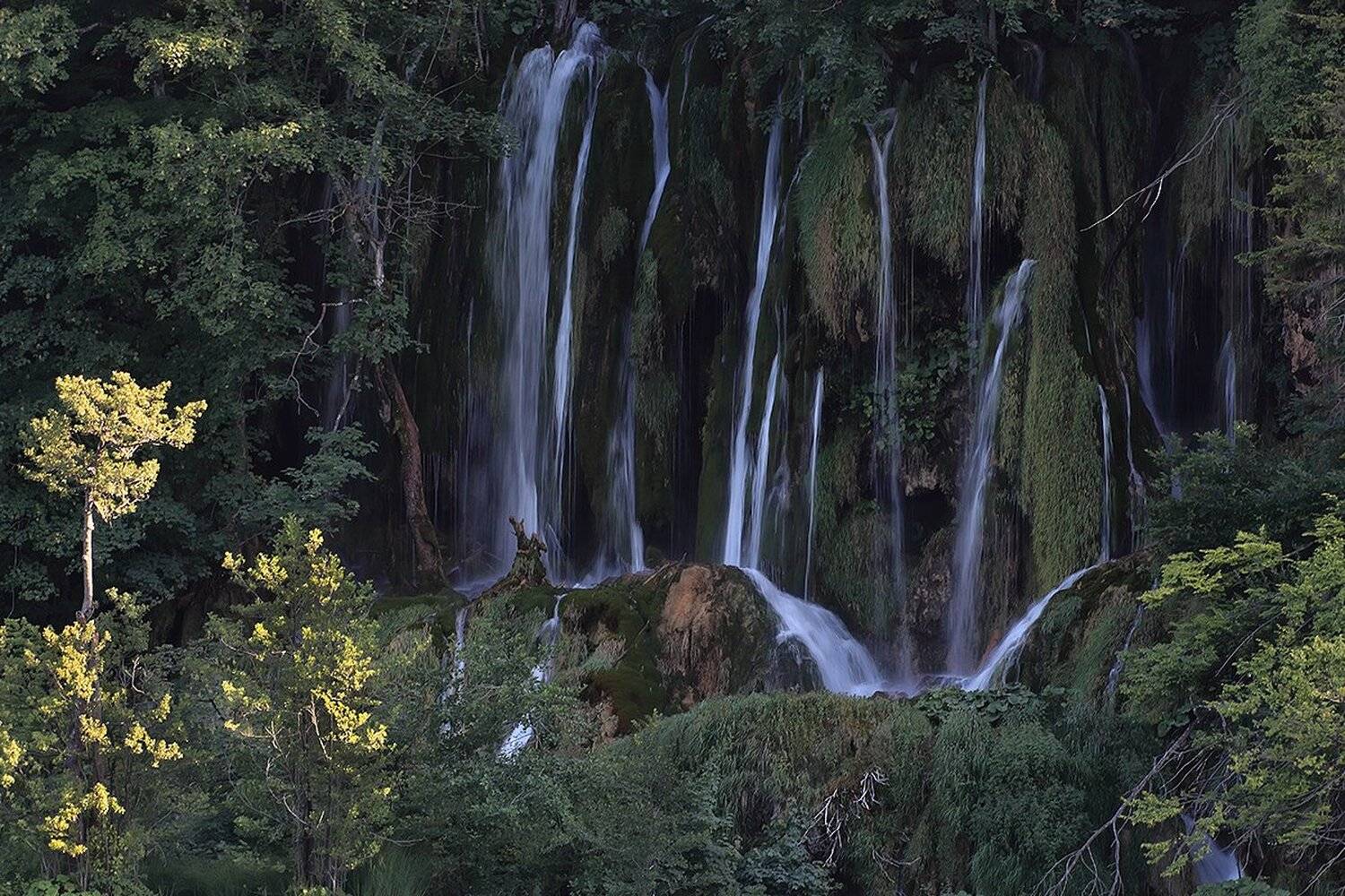 , Игорь Дубровский