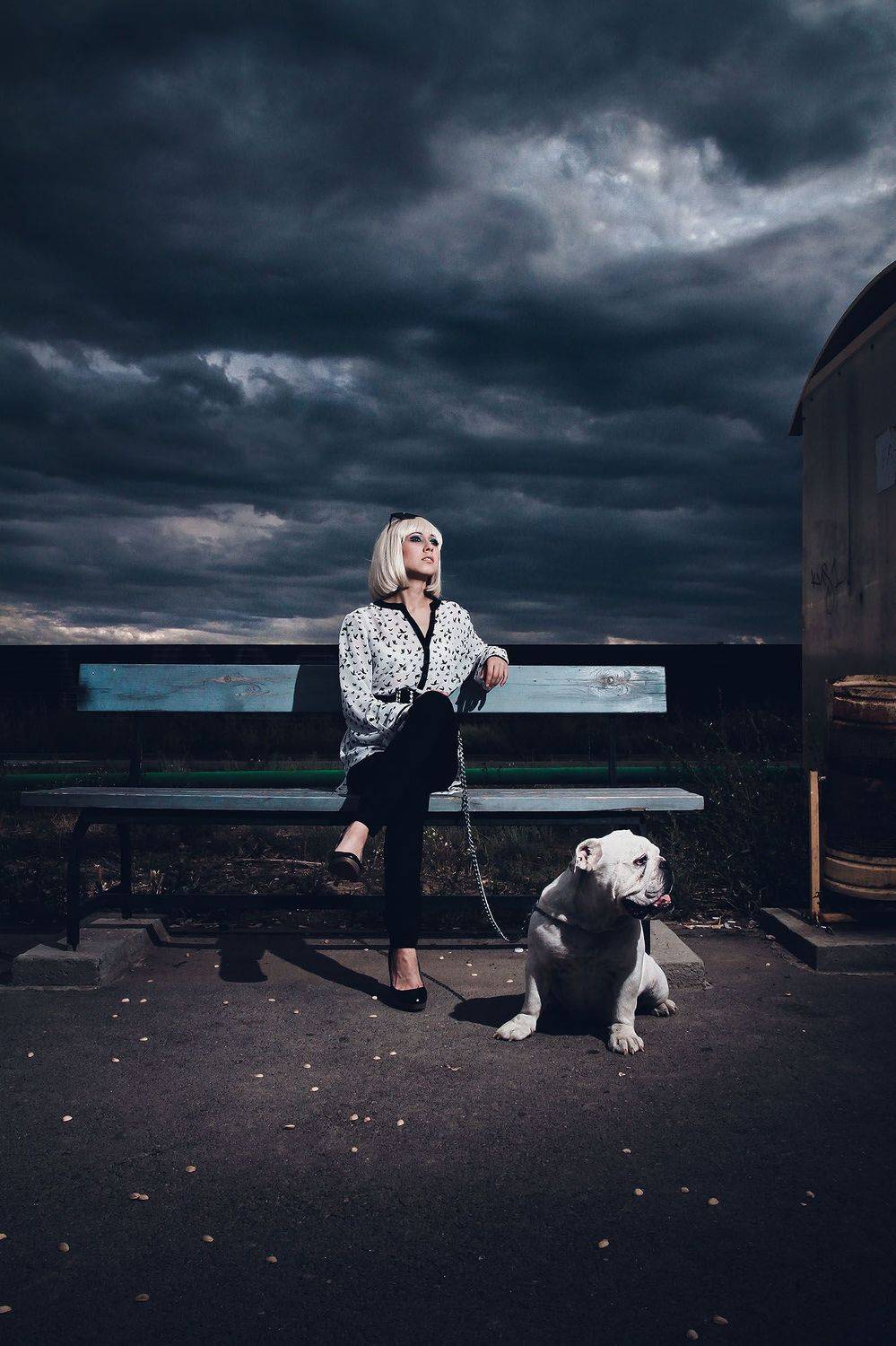 город, девушка, собака, Анастасия