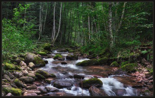 Во глубине Кавказских гор...