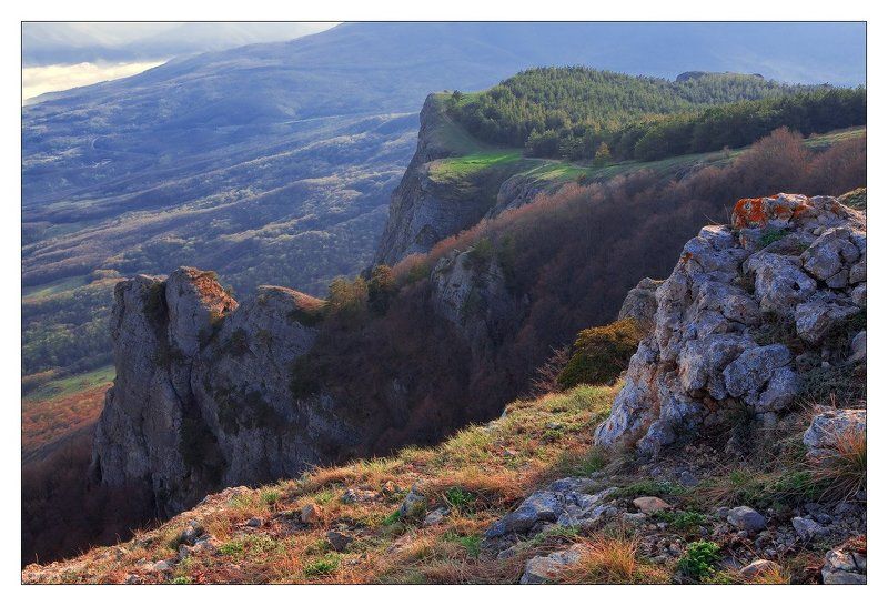 КОЗЫРЁК фото превью