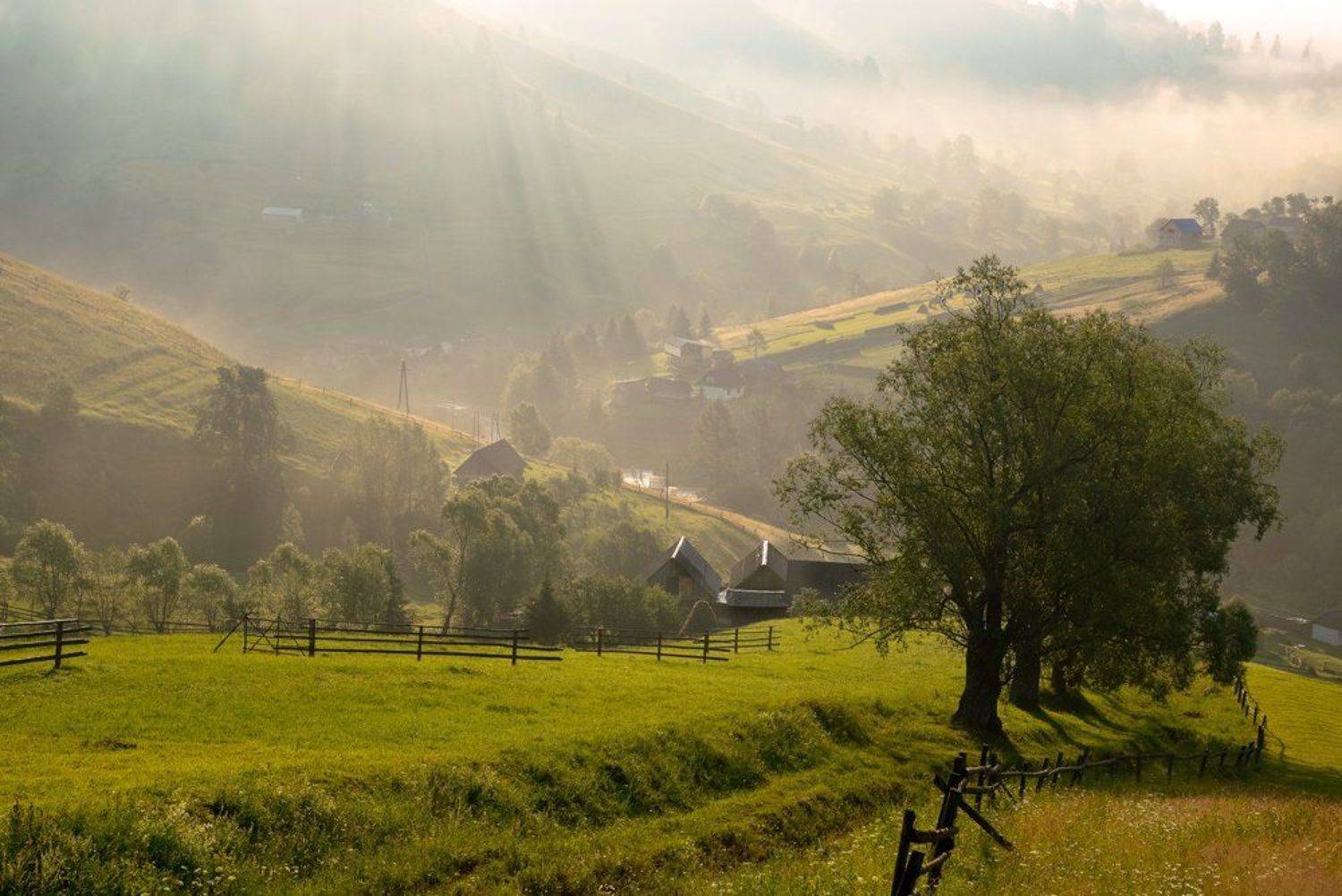 , Эдуард Гордеев