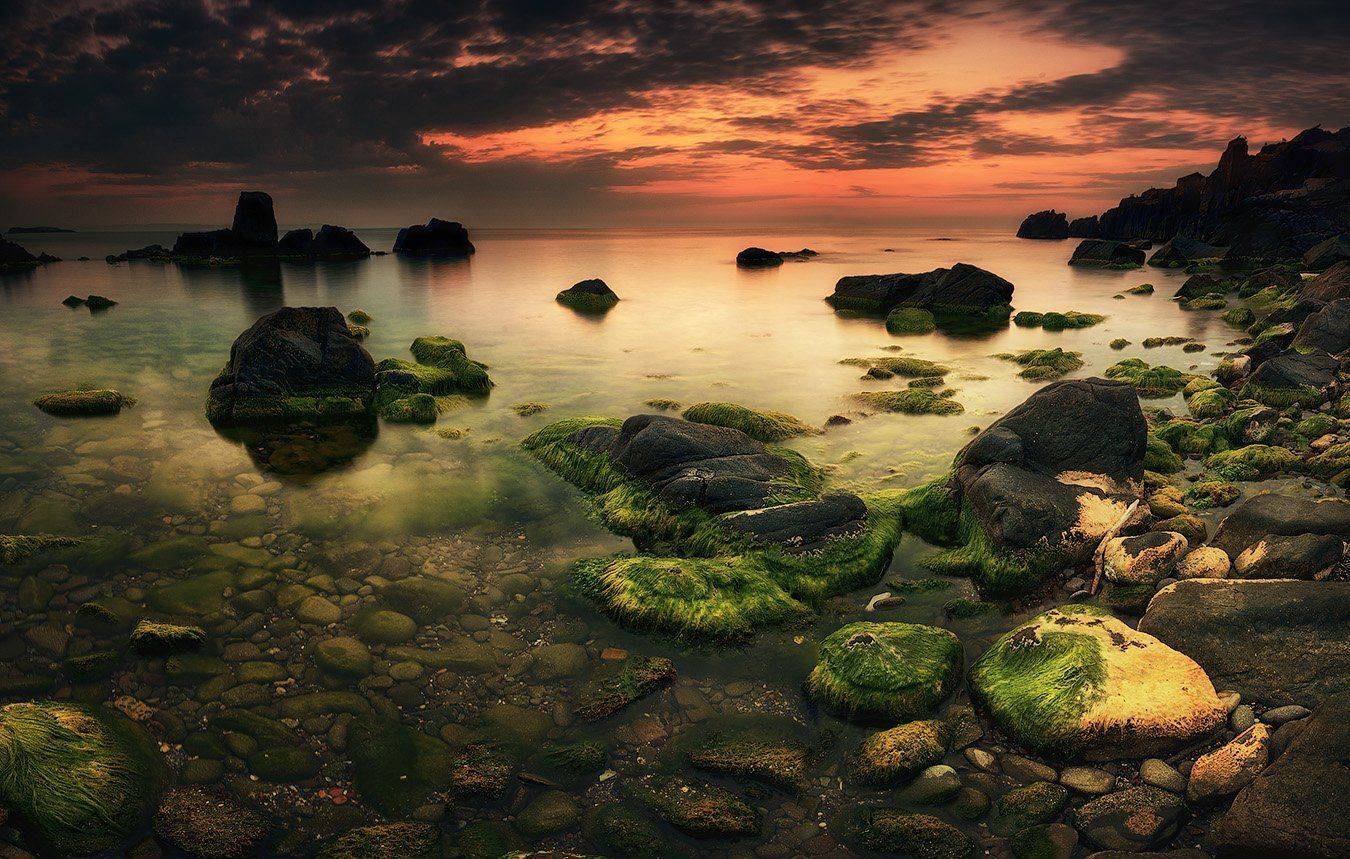 , Красимир Матаров