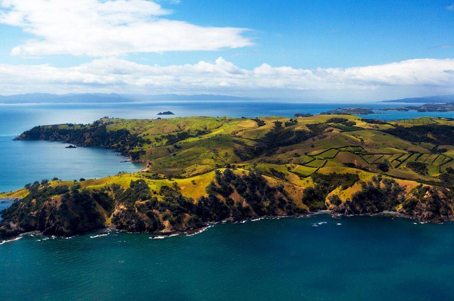 Новая Зеландия, Дара Пилюгина