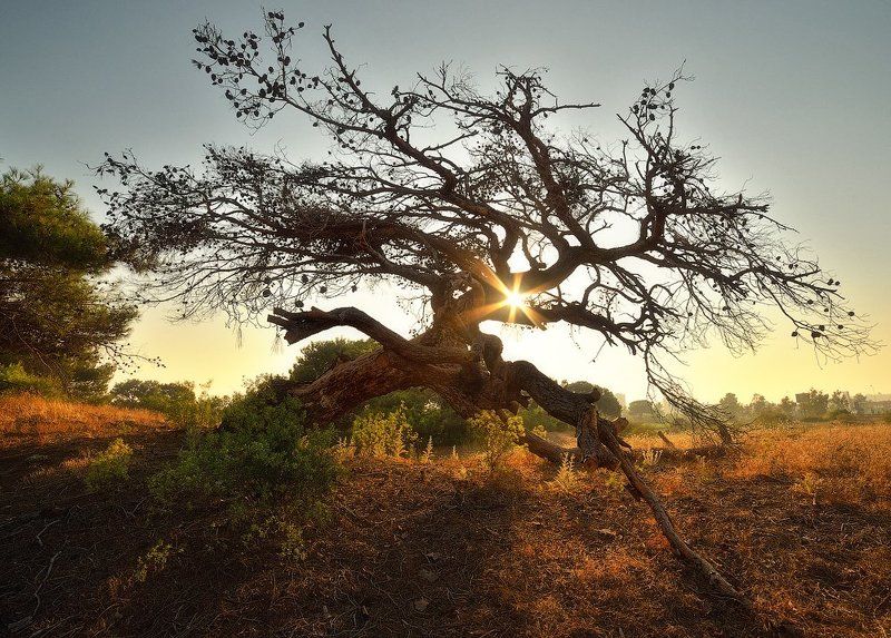 Про побочные эффекты, возникающие при приеме запрещенных препаратов фото превью