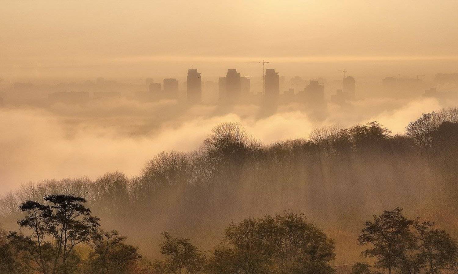 , Александр