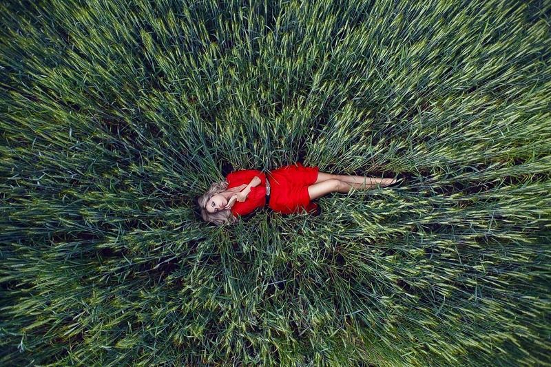 to be found фото превью