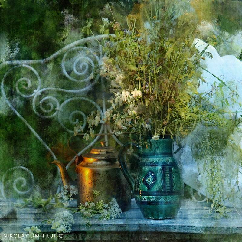 , николай дмитрук