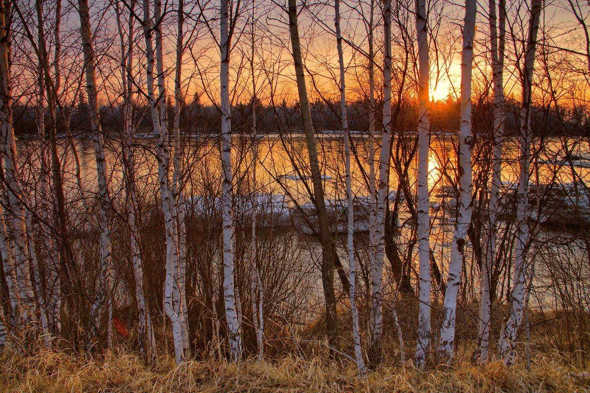 , Николай Морский