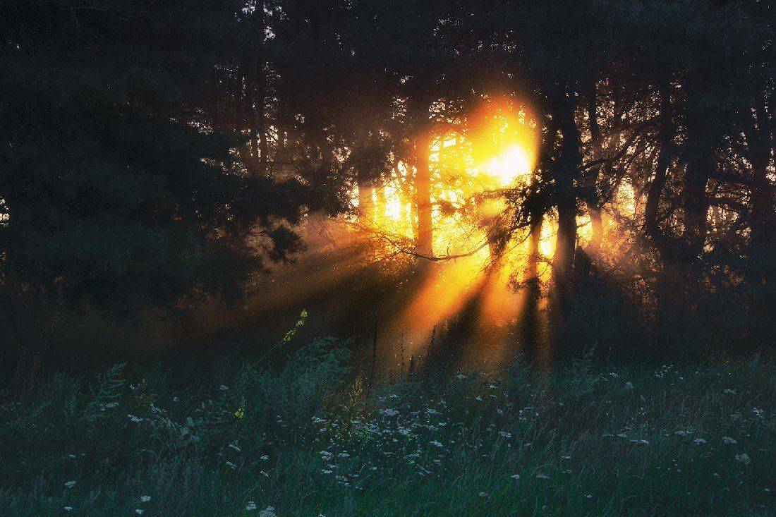 , Владлен Халимов