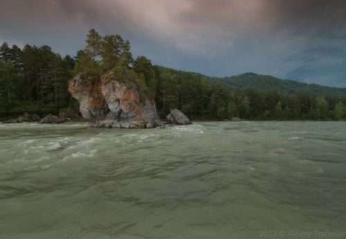 Катит свои воды Катунь