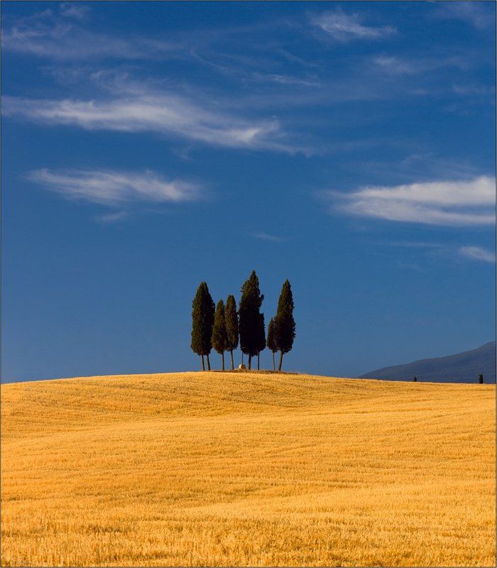 ...там, где зелёные деревья и золото на голубом... фото превью