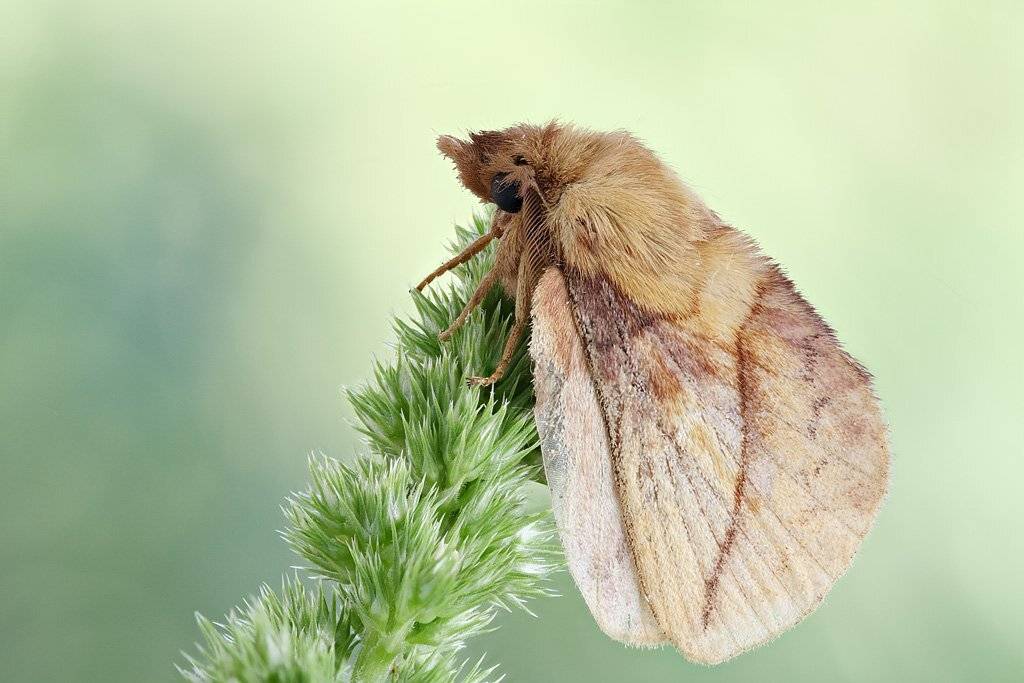 , Сергей Таланов