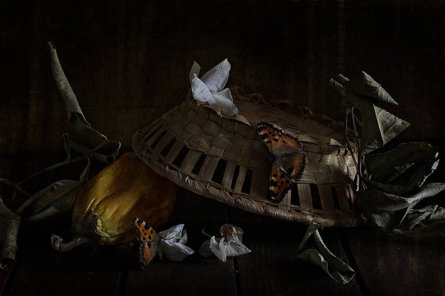 натюрморт, Svetlana Ра