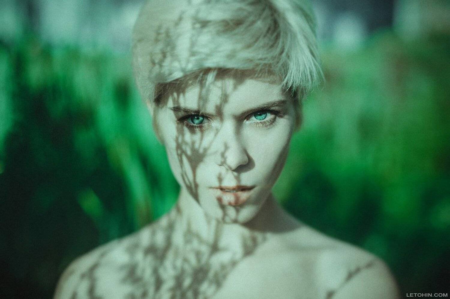 , Иван Летохин