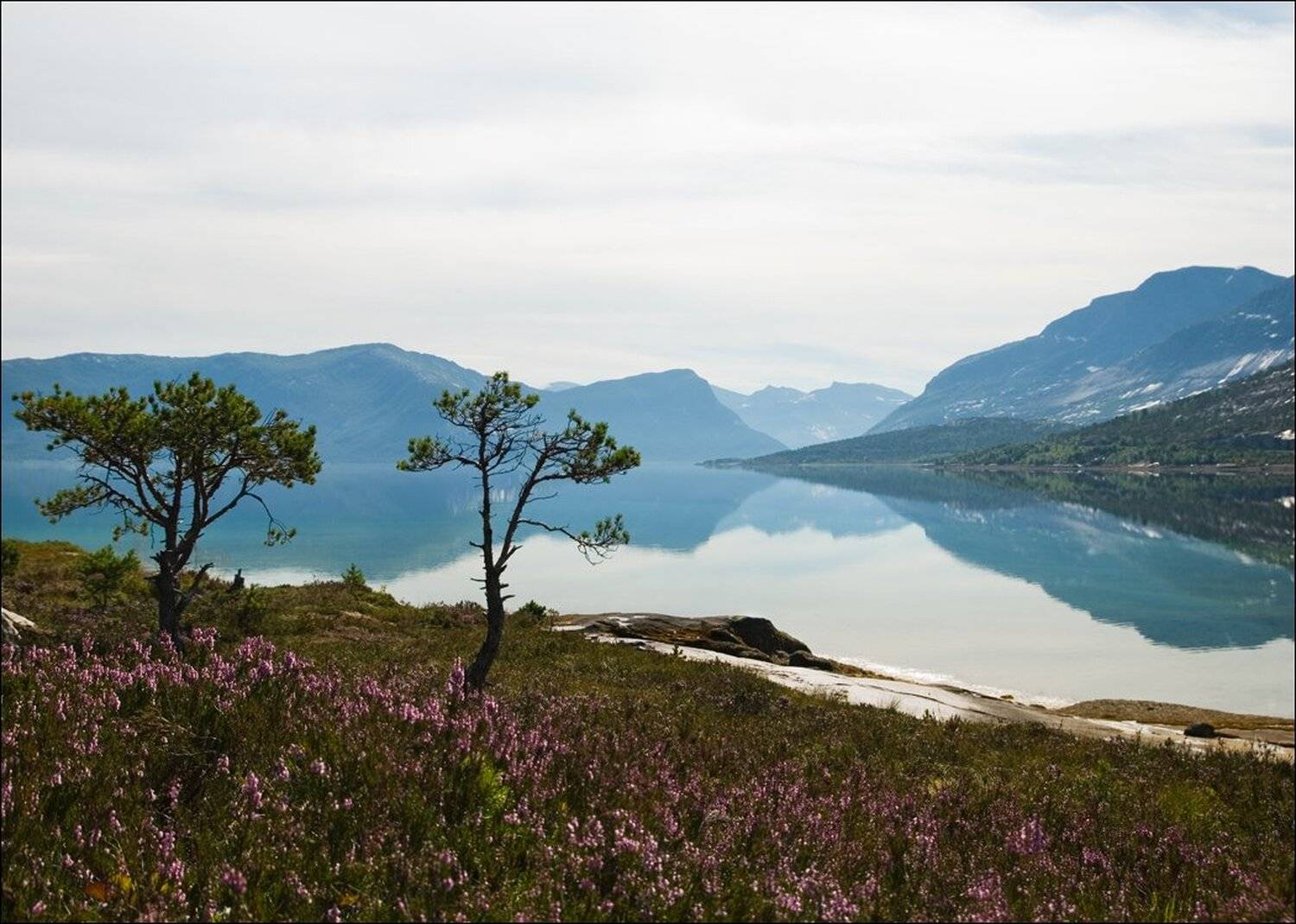 , Крицак Ольга