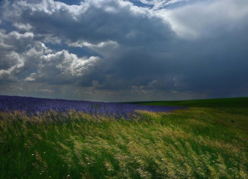 степь, гроза Степной ветер фото превью
