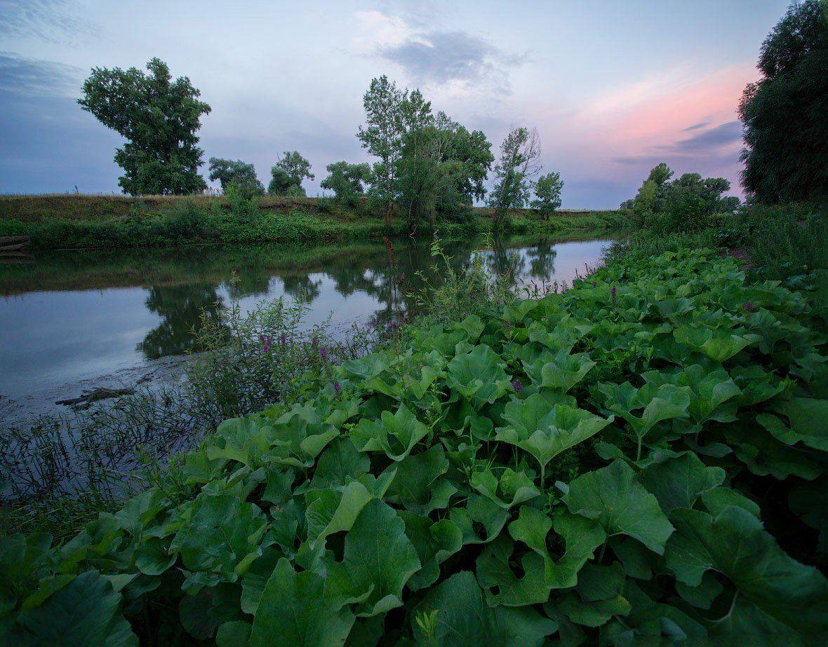 , Владимир Ляпин