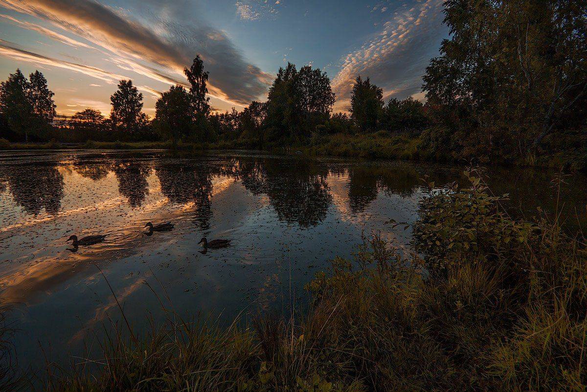 , Аркадий Белов