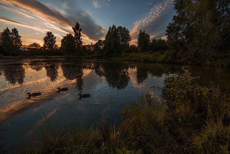 Three фото превью
