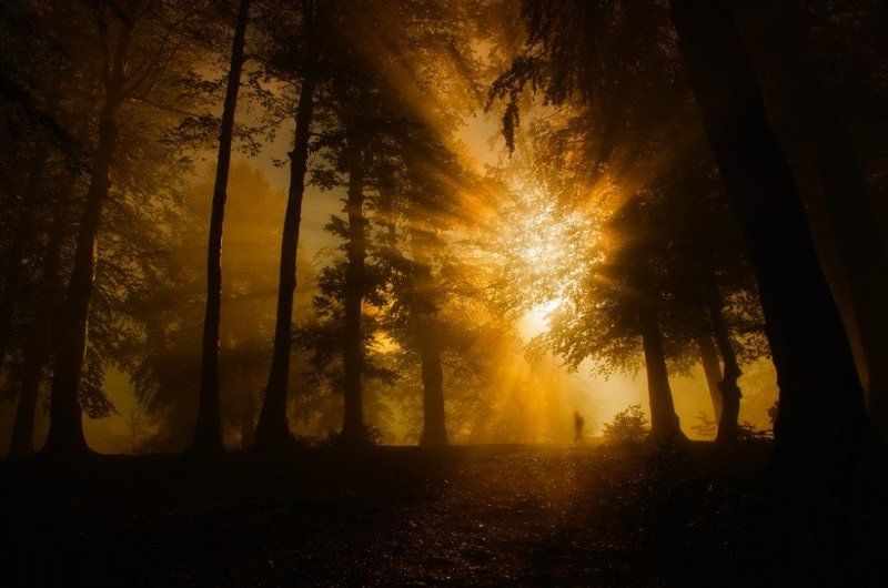 Lost фото превью