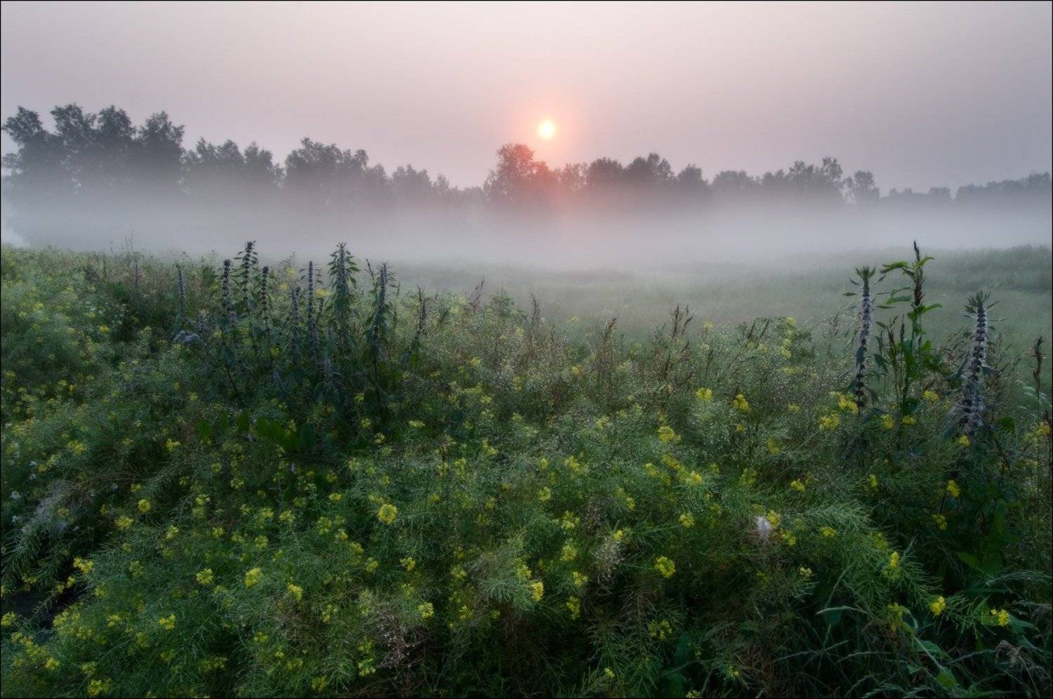 , Евгений Мартов