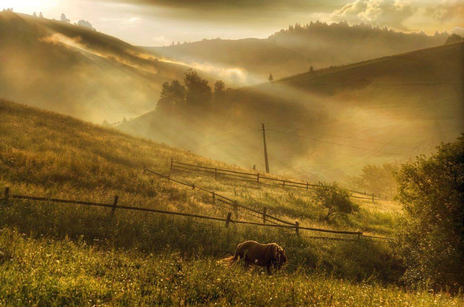 , Эдуард Гордеев