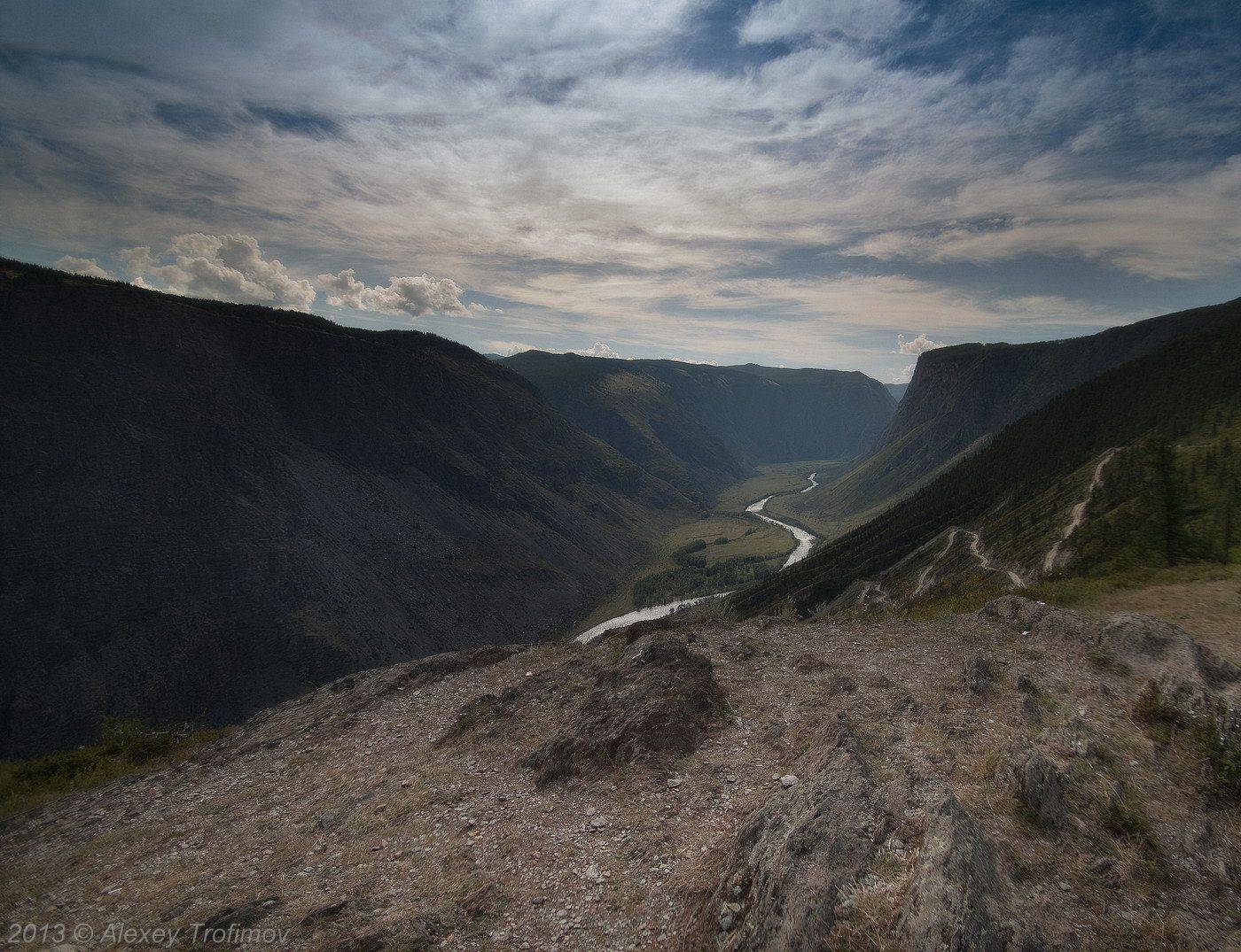 , Алексей Трофимов