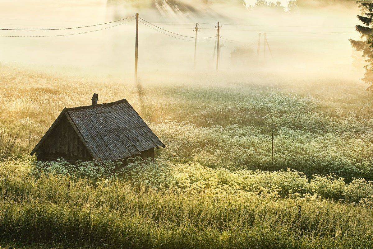 , Rimantas Bikulcius