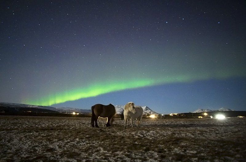 The night of iceland фото превью