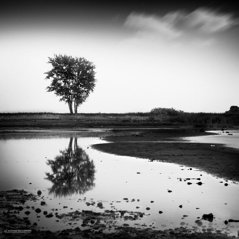 Fox\'s nose фото превью