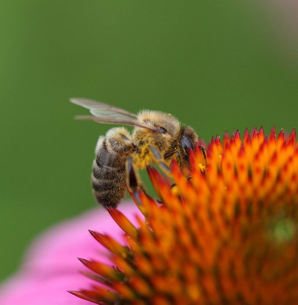 , Сергей Таланов