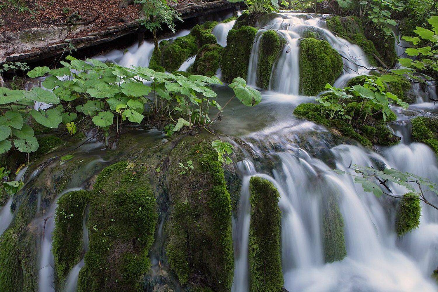 , Игорь Дубровский