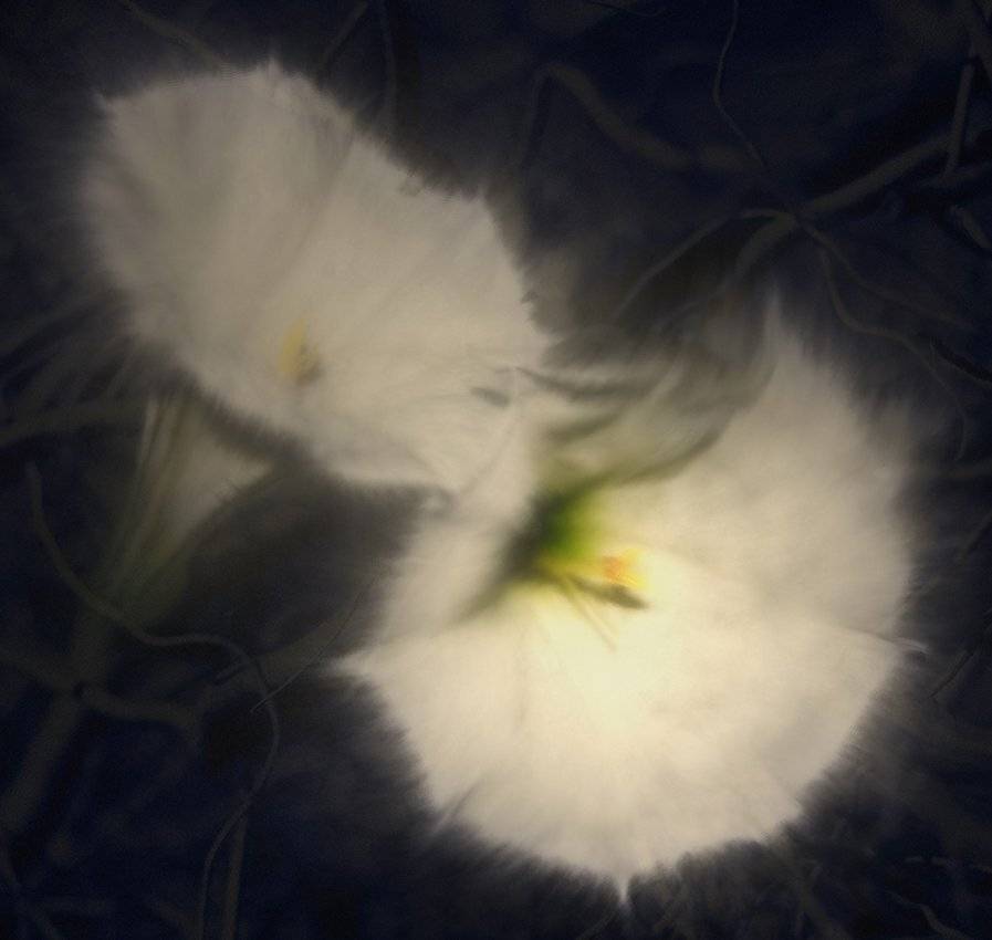 , Михаил  Пилипенко