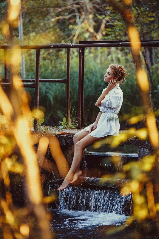 Золото заходящего солнца фото превью