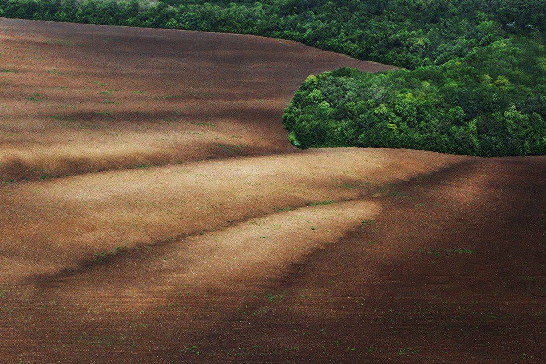 , Сидоренко Алексей