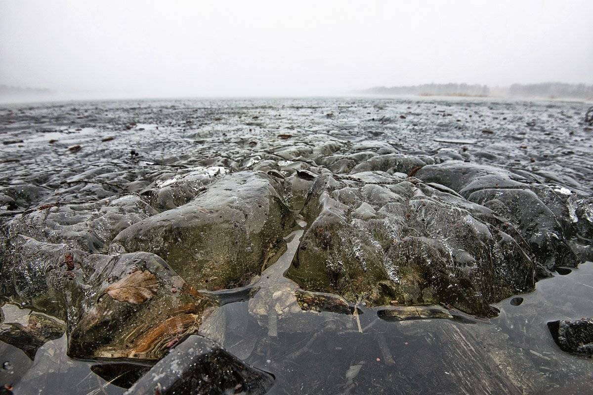 , Rimantas Bikulcius