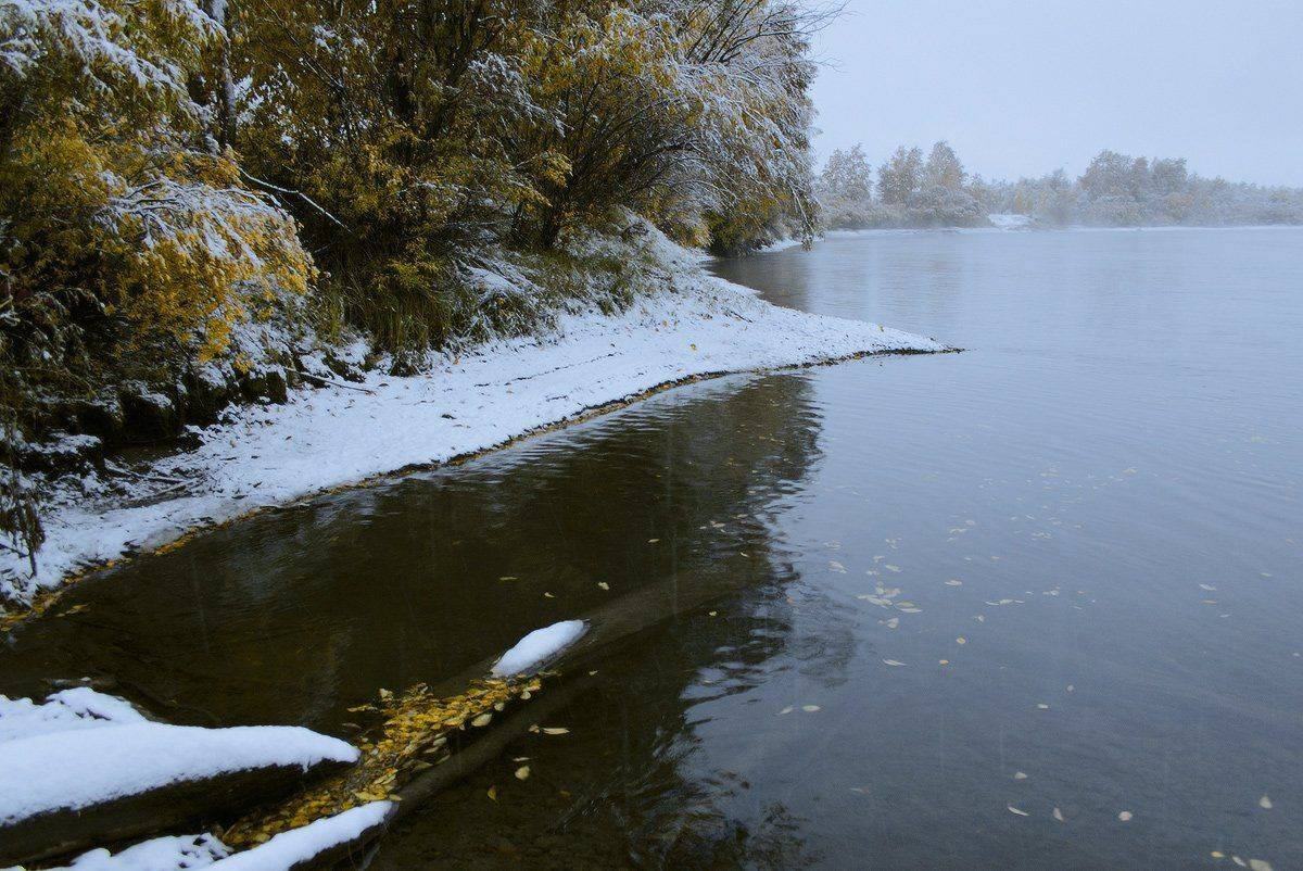 , Николай Морский