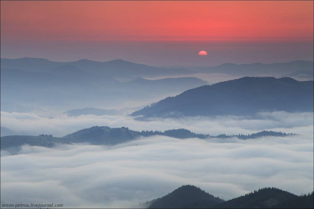 , Антон Петрусь