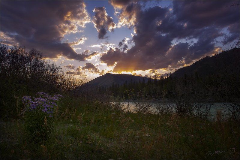 Катунь река фото превью