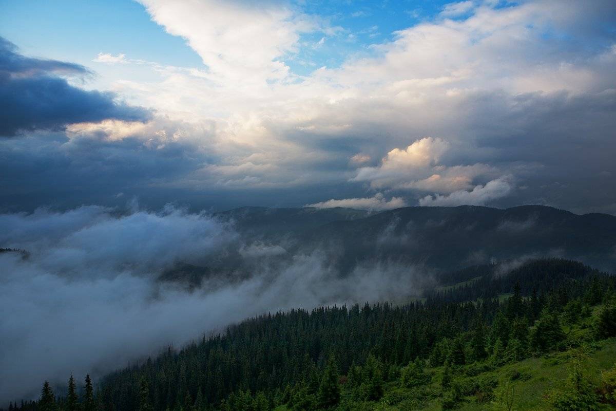 , Виталий Ра