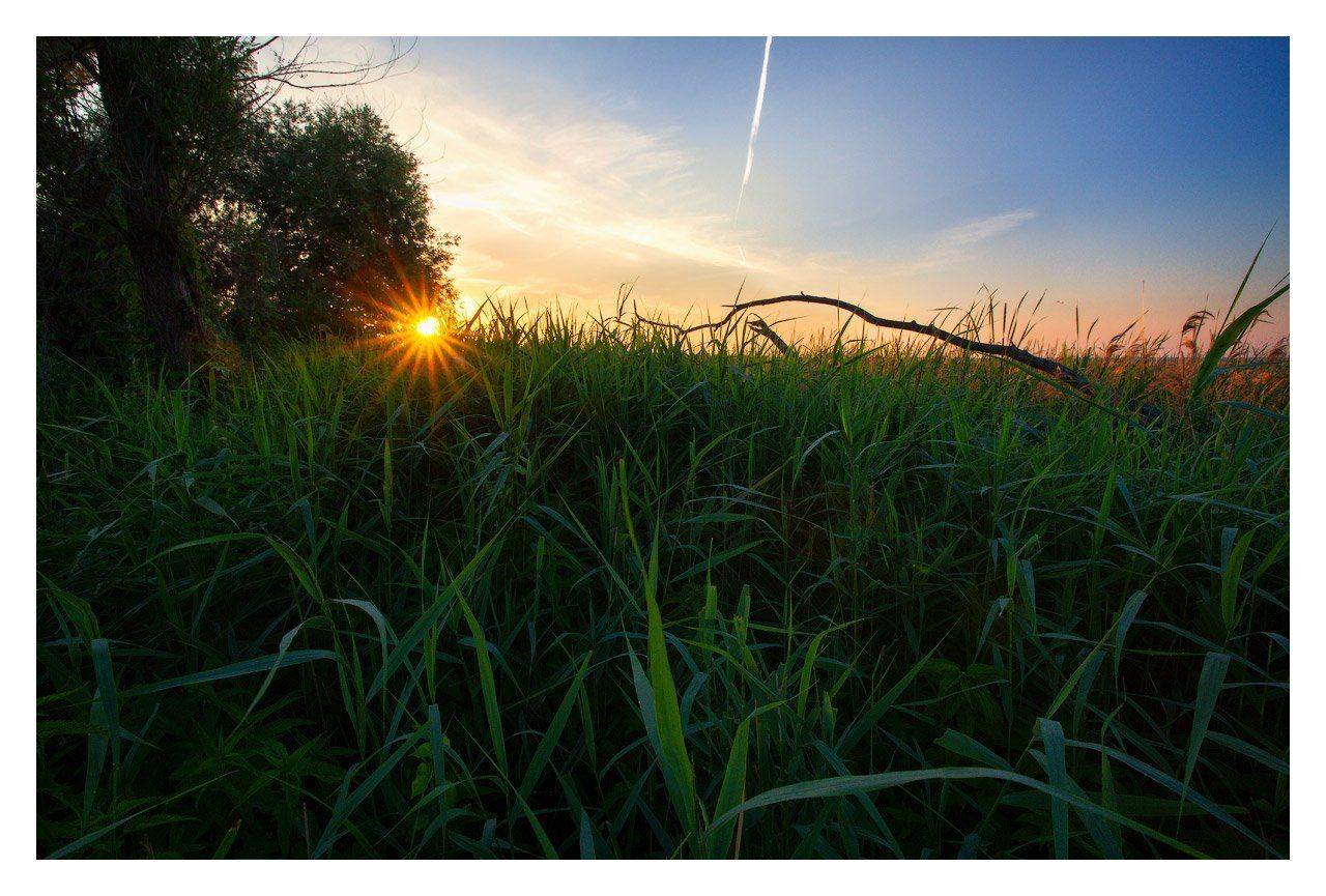 , Владимир Ляпин