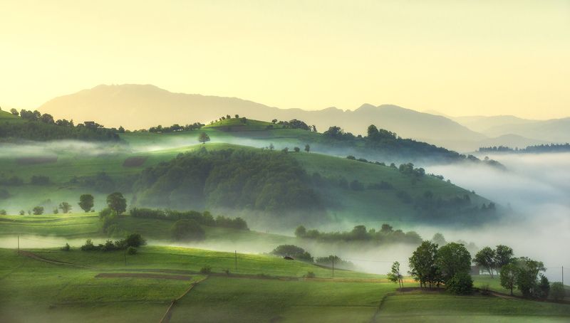 Dreaming on the hills фото превью